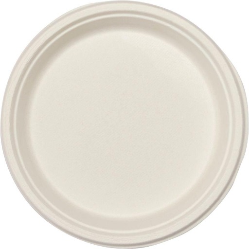 9" ROUND PLATE